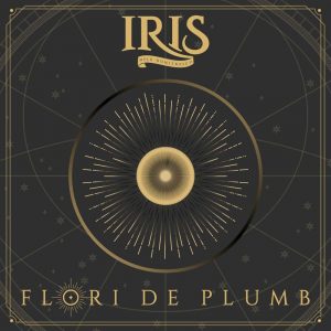 IRIS Nelu Dumitrescu a lansat single-ul Flori de Plumb