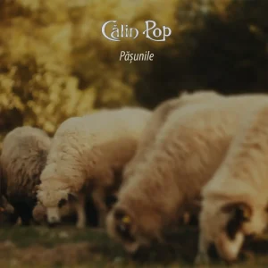 Călin Pop lansează un nou single: „Pășunile”